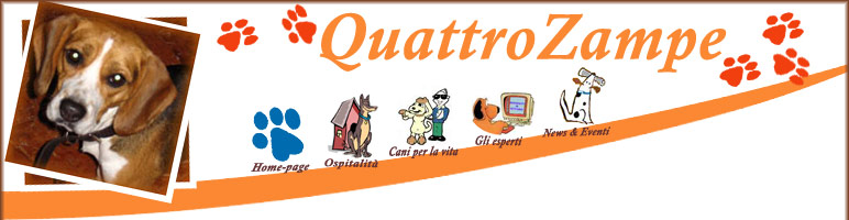 quattroZampe